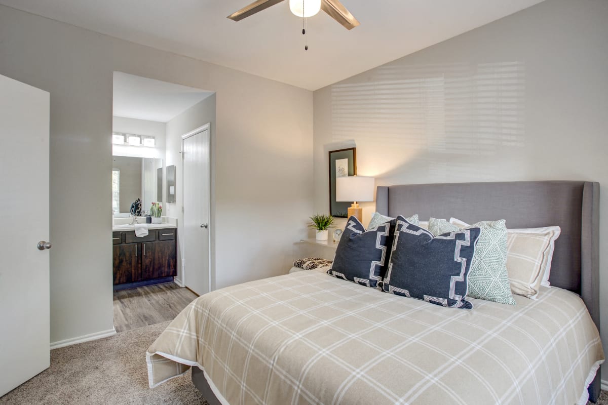 Apartments for Rent in Universal City, TX Arya Grove Photos